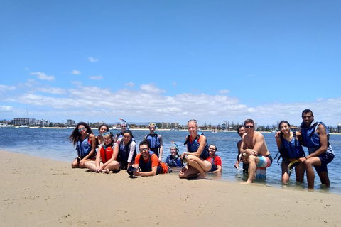 Half Day Dolphin Kayaking And Snorkeling Tour - Accommodation ACT 9