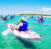 Half Day Dolphin Kayaking and Snorkeling Tour - Accommodation ACT