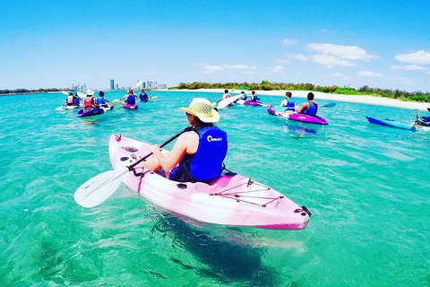 Half Day Dolphin Kayaking And Snorkeling Tour - Accommodation ACT 0