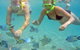 Half Day Dolphin Kayaking And Snorkeling Tour - thumb 4