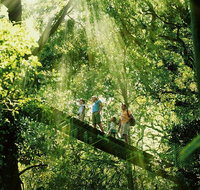 Gold Coast Lamington National Park and Tamborine Mountain 4WD Ecotour - Accommodation ACT