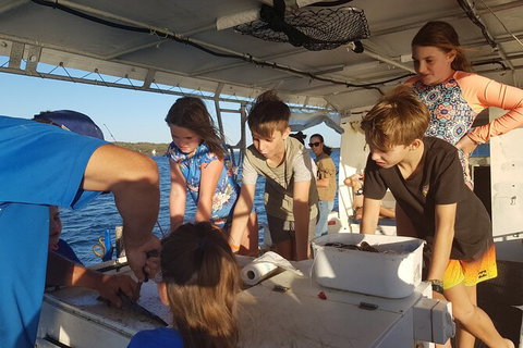 Gold Coast Half-Day Fishing Charter - Accommodation ACT 2