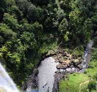 Full-day Springbrook National Park Tour from the Gold Coast - Accommodation ACT