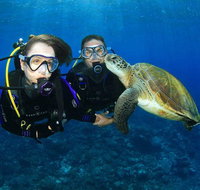 Gold Coast Try-Scuba Experience at Wave Break Island - Accommodation ACT
