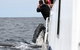 Whale Watching Tour In Gold Coast - thumb 8