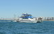 Whale Watching Tour In Gold Coast - thumb 4