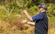 Gold Coast 4WD Eco Outback Tracks Tour - thumb 4