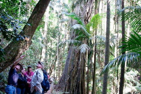 Gold Coast 4WD Eco Outback Tracks Tour - Accommodation ACT 2
