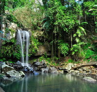 Gold Coast 4WD Eco Outback Tracks Tour - Accommodation ACT