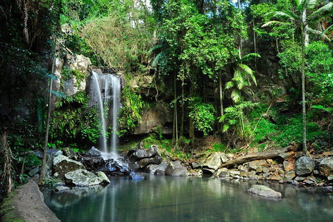 Gold Coast 4WD Eco Outback Tracks Tour - Accommodation ACT 0