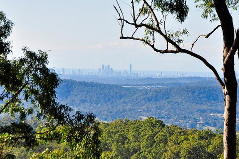 Gold Coast 4WD Eco Outback Tracks Tour - Accommodation ACT 7