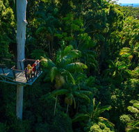 The Best of Tamborine Mountain from the Gold Coast - Accommodation ACT