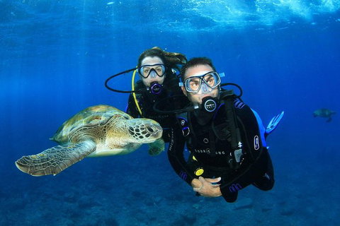 3-Day Open Water Certification Course On The Gold Coast - Accommodation ACT 1