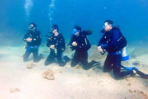 3-Day Open Water Certification Course On The Gold Coast - Accommodation ACT 2