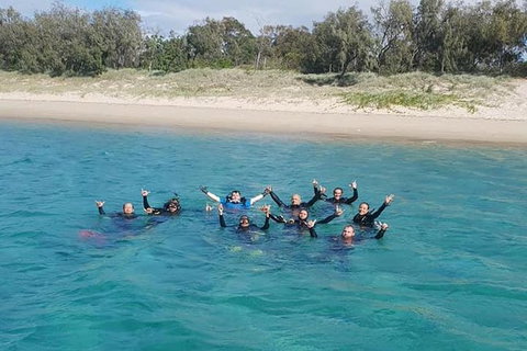 Guided Snorkel With Fish Tour At Wavebreak Island, Gold Coast - Accommodation ACT 4
