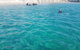 Guided Snorkel With Fish Tour At Wavebreak Island, Gold Coast - thumb 8