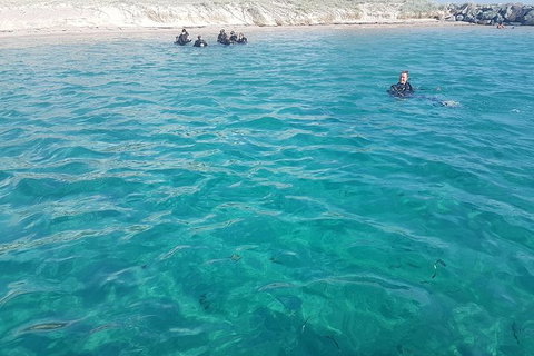 Guided Snorkel With Fish Tour At Wavebreak Island, Gold Coast - Accommodation ACT 8
