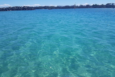 Guided Snorkel With Fish Tour At Wavebreak Island, Gold Coast - Accommodation ACT 2