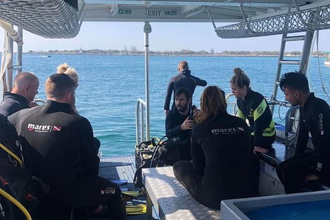 Guided Snorkel With Fish Tour At Wavebreak Island, Gold Coast - Accommodation ACT 7