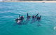 Guided Snorkel With Fish Tour At Wavebreak Island, Gold Coast - thumb 5