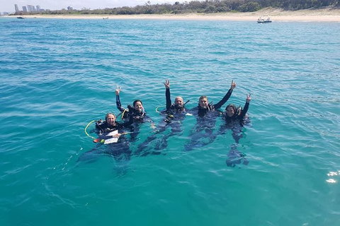Guided Snorkel With Fish Tour At Wavebreak Island, Gold Coast - Accommodation ACT 5