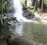 The Gold ExperiencePrivate Day Tour In Lamington National Park or Mt Tambourine - Accommodation ACT