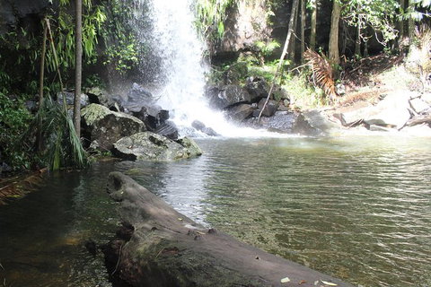 The Gold Experience:Private Day Tour In Lamington National Park Or Mt Tambourine - Accommodation ACT 0