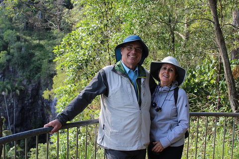 The Gold Experience:Private Day Tour In Lamington National Park Or Mt Tambourine - Accommodation ACT 1