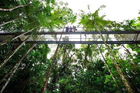 Daintree Discovery Centre Family Pass Ticket - Accommodation ACT 3