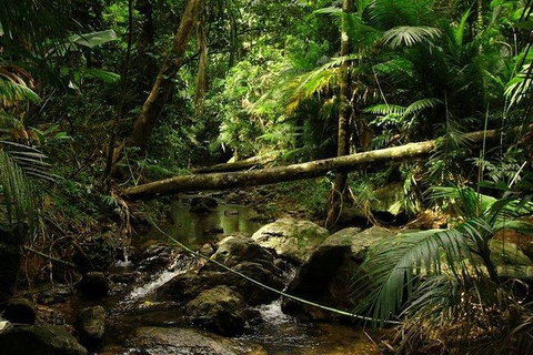 Daintree Discovery Centre Family Pass Ticket - Accommodation ACT 5
