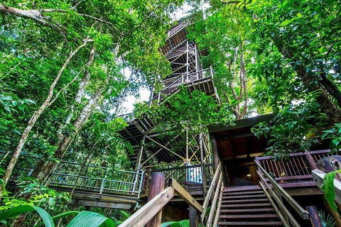 Daintree Discovery Centre Family Pass Ticket - Accommodation ACT 4