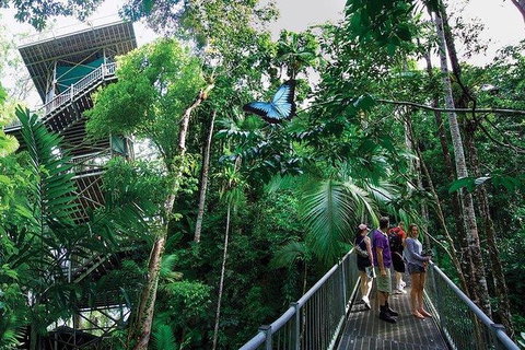 Daintree Discovery Centre Family Pass Ticket - Accommodation ACT 2