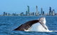 Gold Coast Airport To And From Byron Bay, NSW For Up-to 7 Ppl - thumb 0