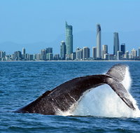 Gold Coast Airport to and from Byron Bay NSW for up-to 7 ppl - Accommodation ACT