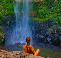 Private Tour - Rainforest  Waterfalls Extravaganza - Accommodation ACT