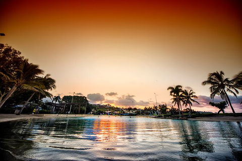 Reef, Wildlife & Rainforest - Reef & Beyond Guided Holidays - Accommodation ACT 6