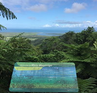 Daintree Luxury Limousine Tour - Full Day - Accommodation ACT