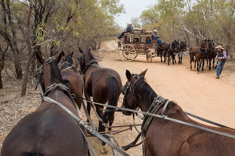 Cobb And Co Stagecoach Experience - Accommodation ACT 1