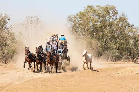 Cobb And Co Stagecoach Experience - Accommodation ACT 0