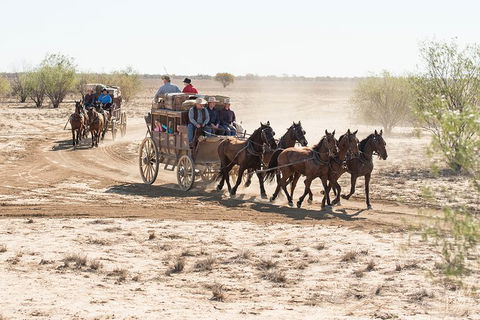 Cobb And Co Stagecoach Experience - Accommodation ACT 4