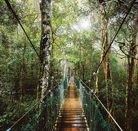 O'Reilly's  Lamington National Park from Gold Coast - Accommodation ACT