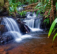Glow Worms Tour - Nocturnal Rainforest Walk - Small Group - Accommodation ACT