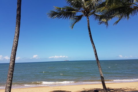 Private Transfers - Cairns Airport To Palm Cove - Accommodation ACT 8