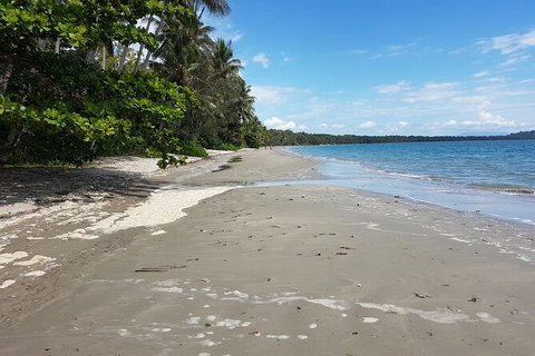 Private Transfers - Cairns Airport To Palm Cove - Accommodation ACT 1