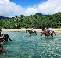 Afternoon Beach Horse Ride in Cape Tribulation - Accommodation ACT