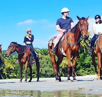 Mid-Morning Beach Horse Ride in Cape Tribulation with Pick Up - Accommodation ACT