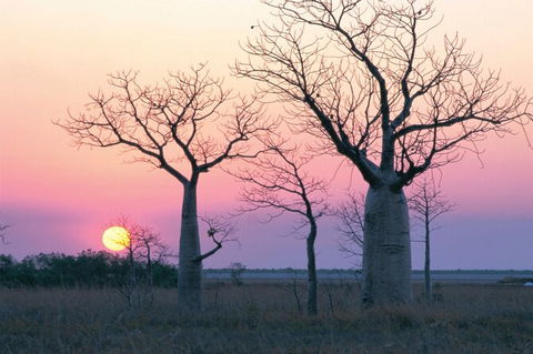 8-Day Outback Experience From Queensland - Accommodation ACT 0
