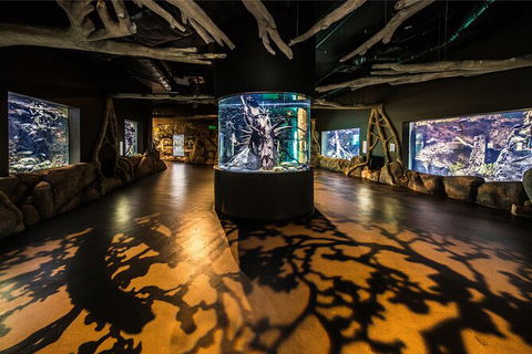 Cairns Aquarium Tour By Twilight With Drink And Appetiser - Accommodation ACT 4