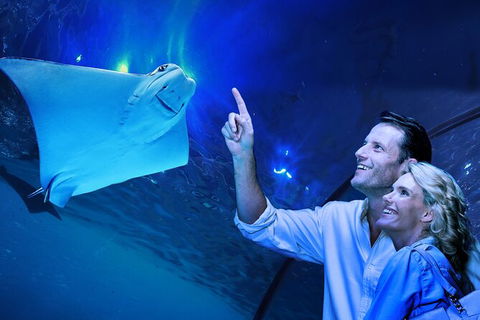 Cairns Aquarium Tour By Twilight With Drink And Appetiser - Accommodation ACT 0