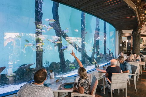 Cairns Aquarium Tour By Twilight With Drink And Appetiser - Accommodation ACT 1